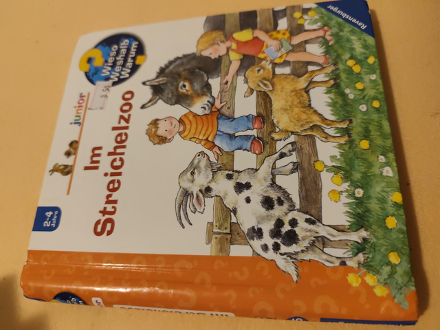 WWW junior Im Streichelzoo