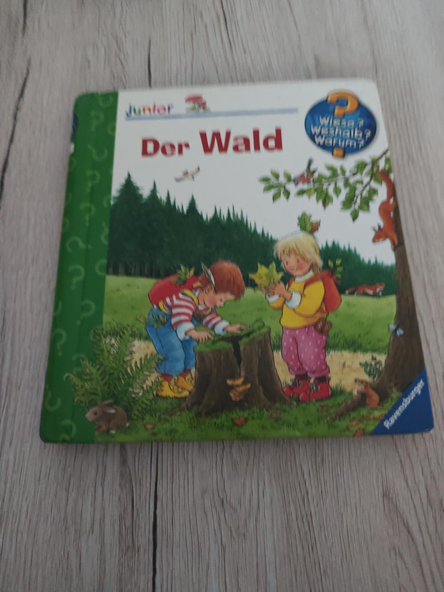 WWW junior Der Wald