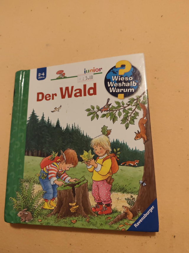 WWW junior Der Wald